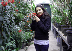vita37.de: G�ttingen, Alter Botanischer Garten, Orangerie | Foto: (c) Becker