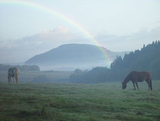 vita37.de: Praxis Dr. med. vet. Escorsin | Foto (c) Becker